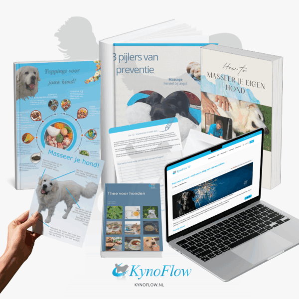 Help je hond door de feestdagen – cursus Vuurwerkstress & Herstel